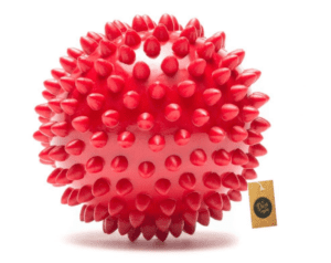 The Dogs Company Spiked Ball Dog Chew Toy