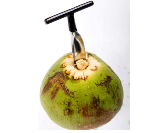 Divinext Coconut Opener